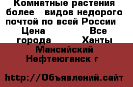 Комнатные растения более200видов недорого почтой по всей России › Цена ­ 100-500 - Все города  »    . Ханты-Мансийский,Нефтеюганск г.